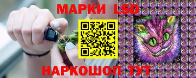 СК Обь