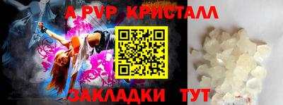 СК Обь