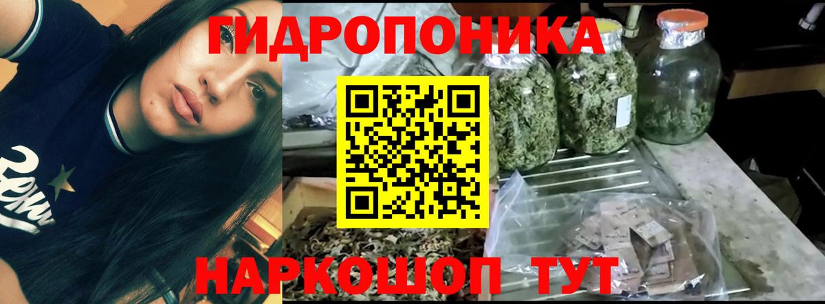 Саяногорск  МАРИХУАНА MAZAR  Бошки Шишки план  Бошки Шишки LSD WEED  Вход с VPN 